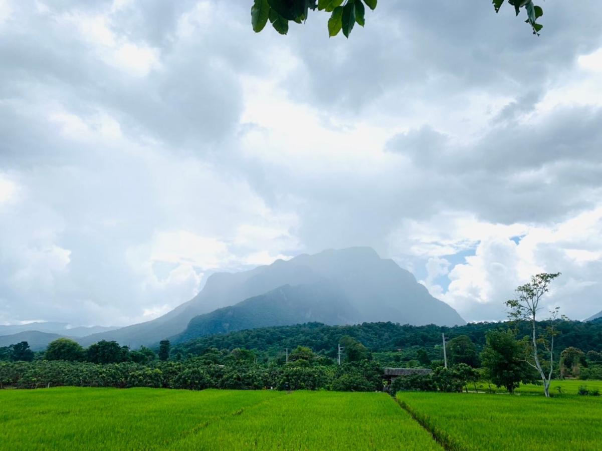 Krathom Doi Luang Hotel Chiang Dao Buitenkant foto