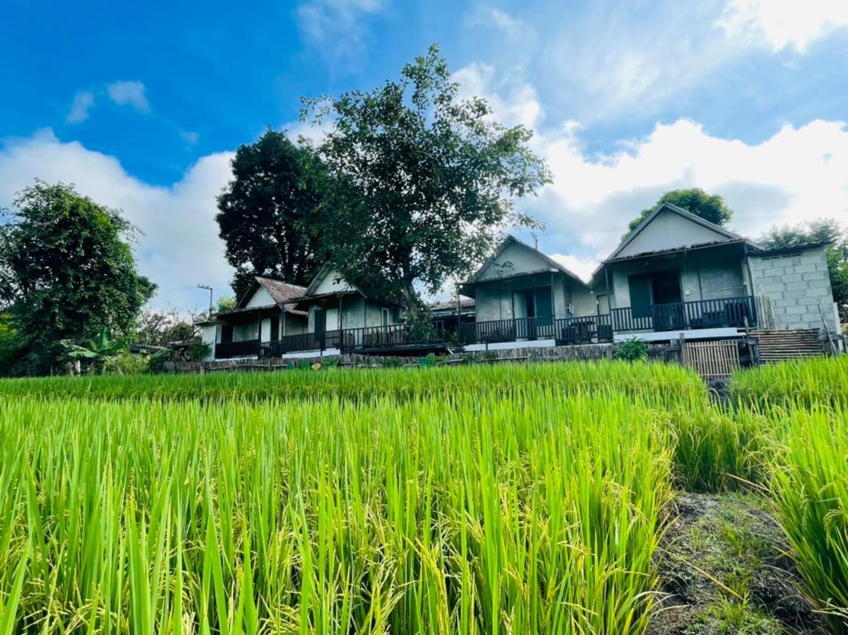Krathom Doi Luang Hotel Chiang Dao Buitenkant foto