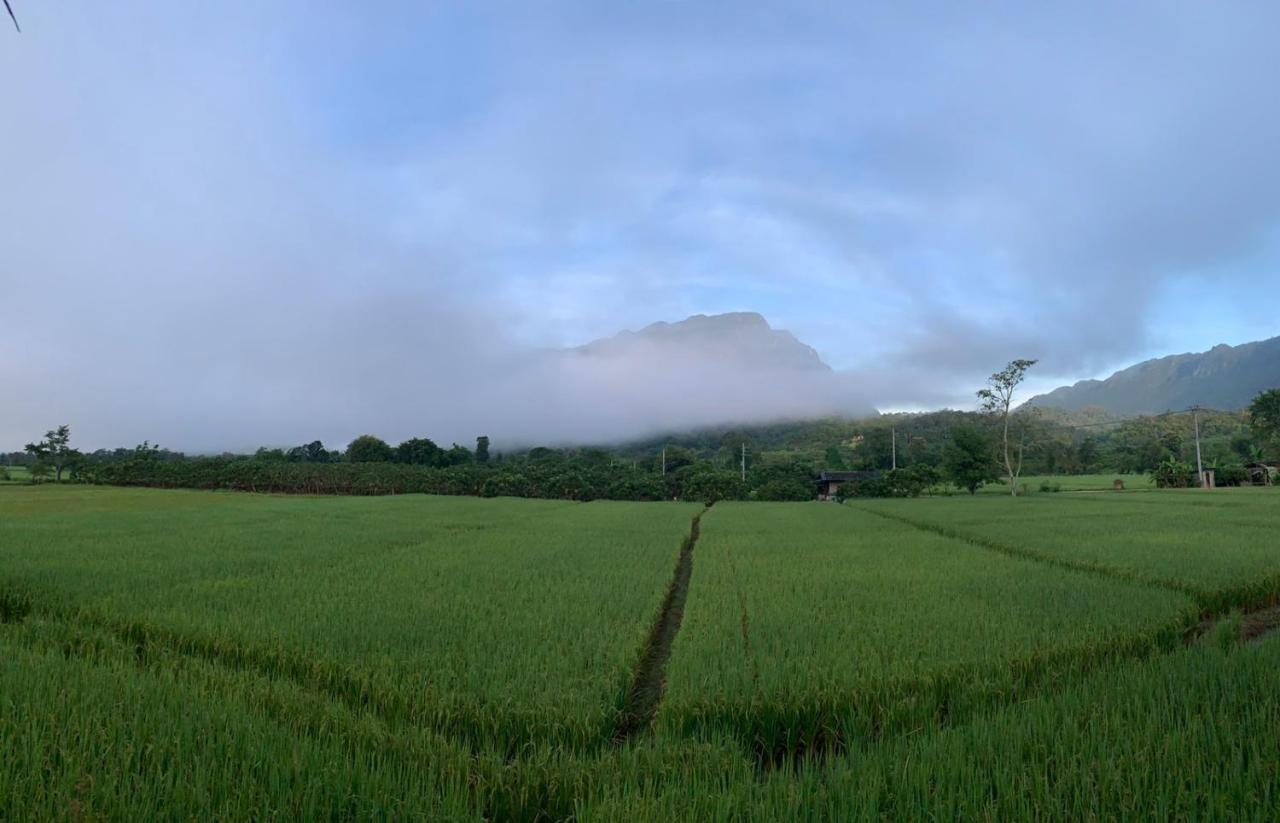 Krathom Doi Luang Hotel Chiang Dao Buitenkant foto
