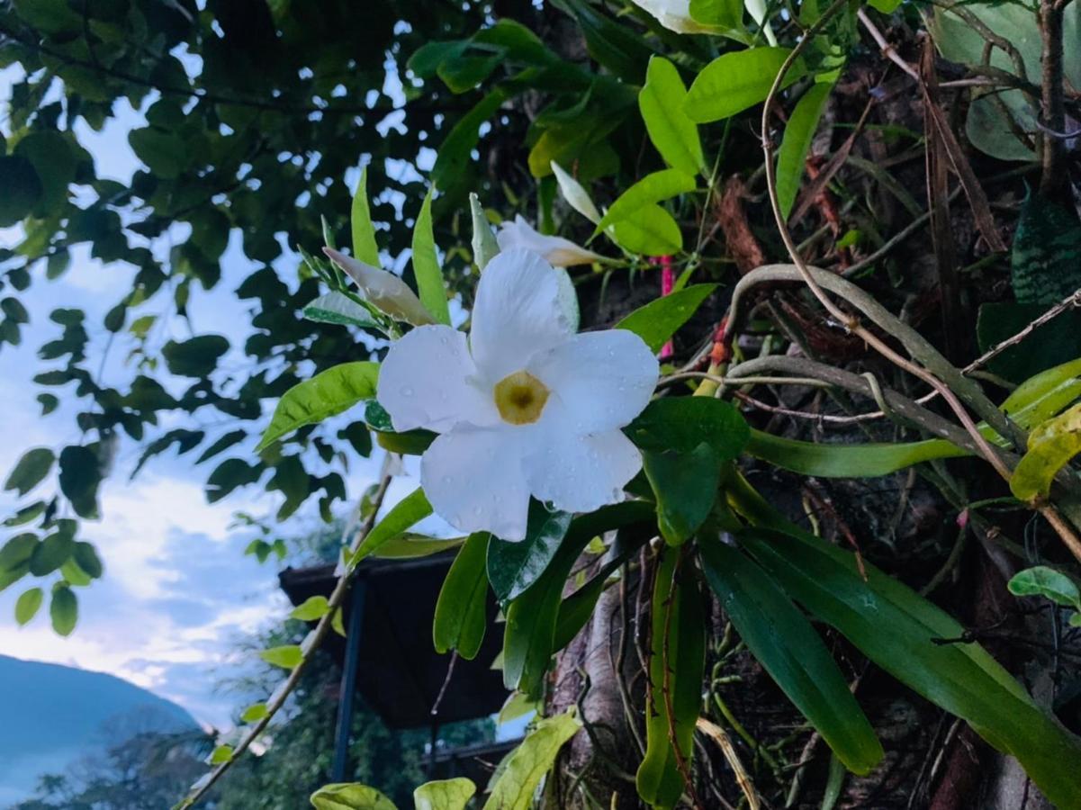 Krathom Doi Luang Hotel Chiang Dao Buitenkant foto