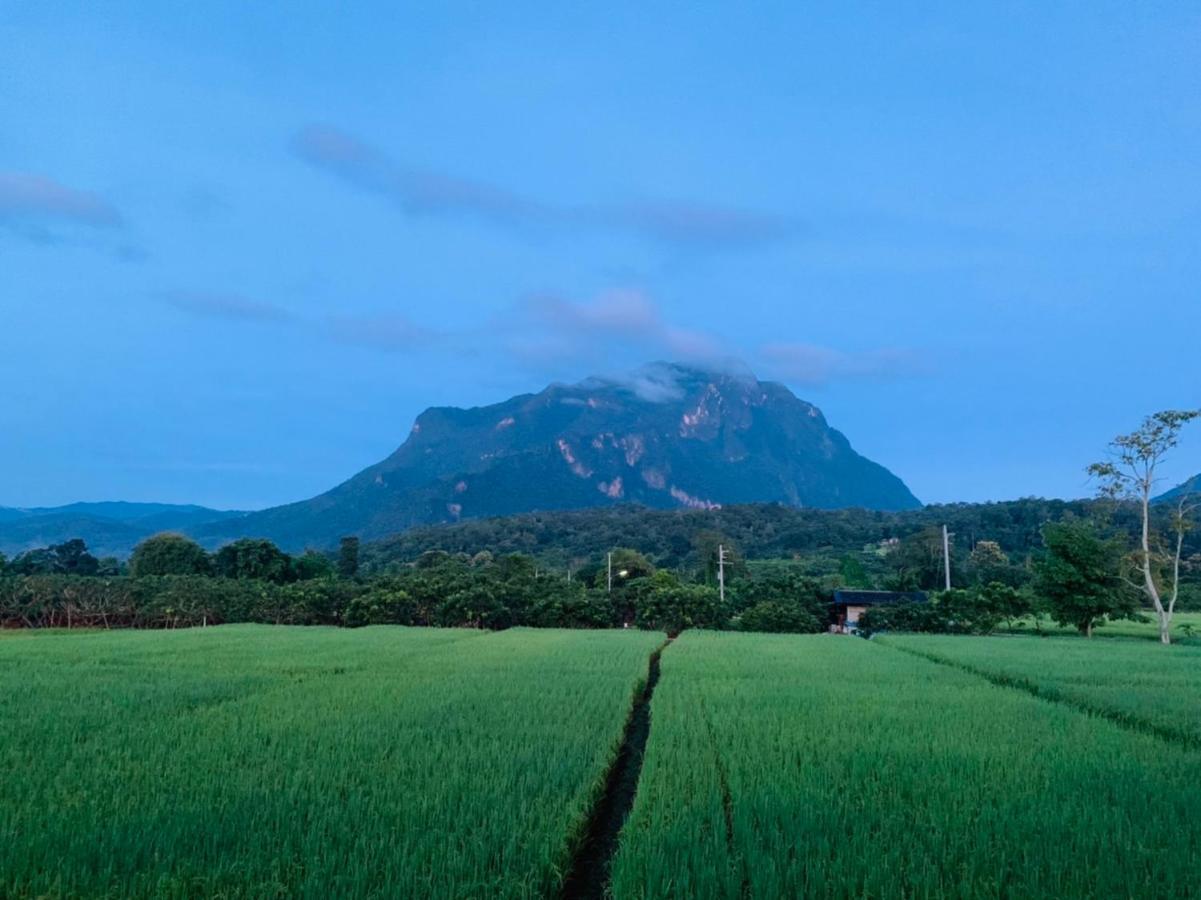 Krathom Doi Luang Hotel Chiang Dao Buitenkant foto