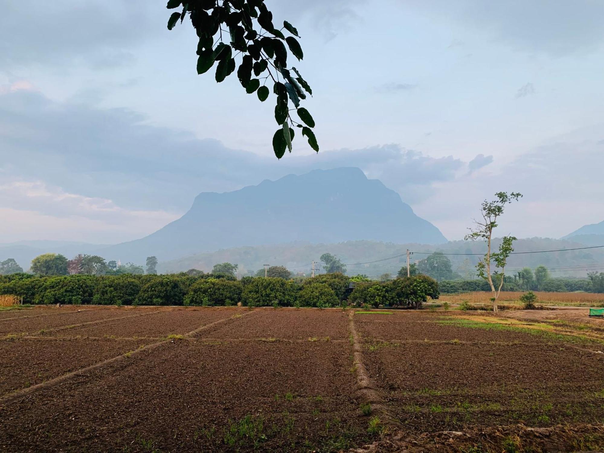 Krathom Doi Luang Hotel Chiang Dao Buitenkant foto