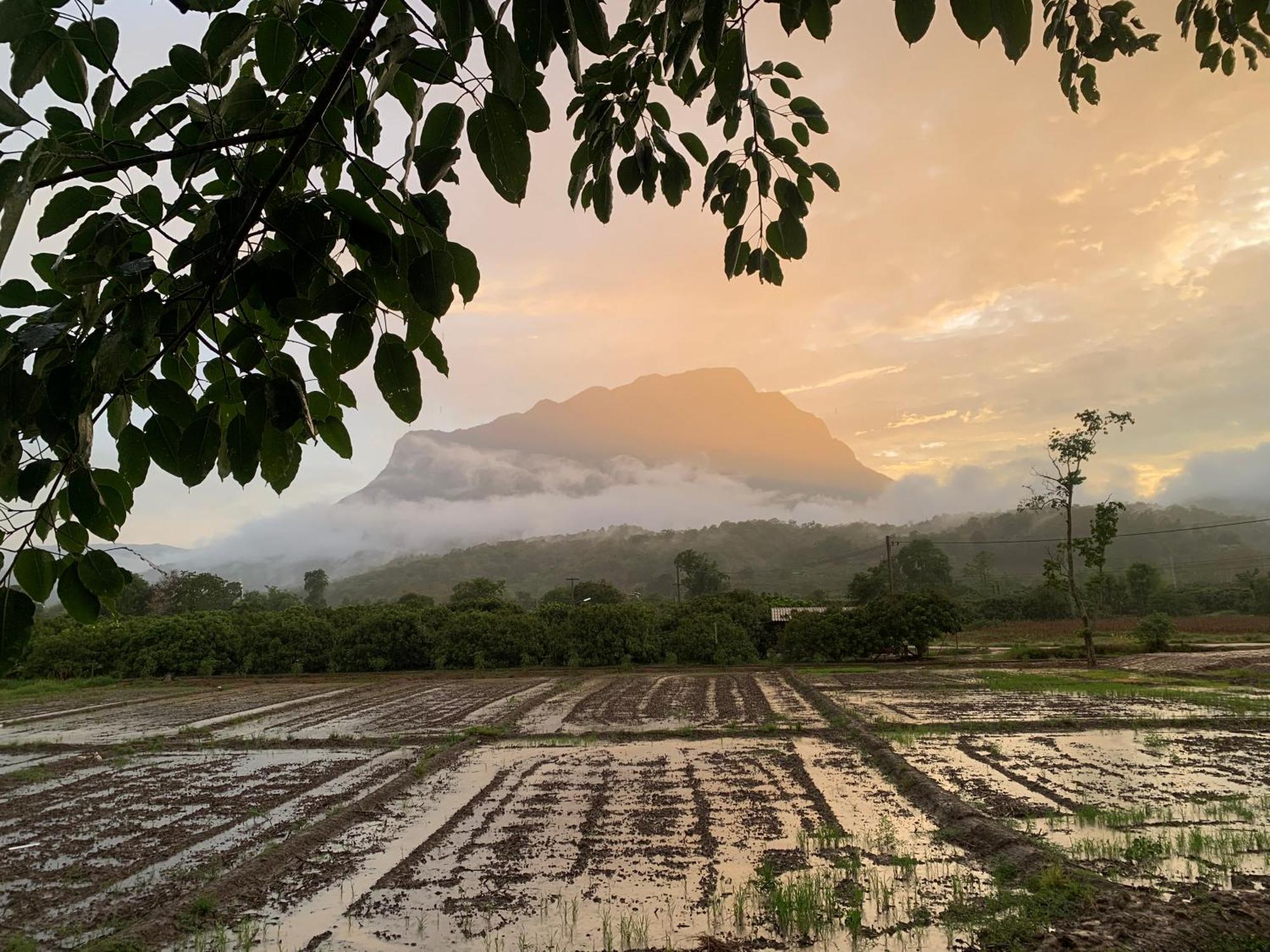 Krathom Doi Luang Hotel Chiang Dao Buitenkant foto